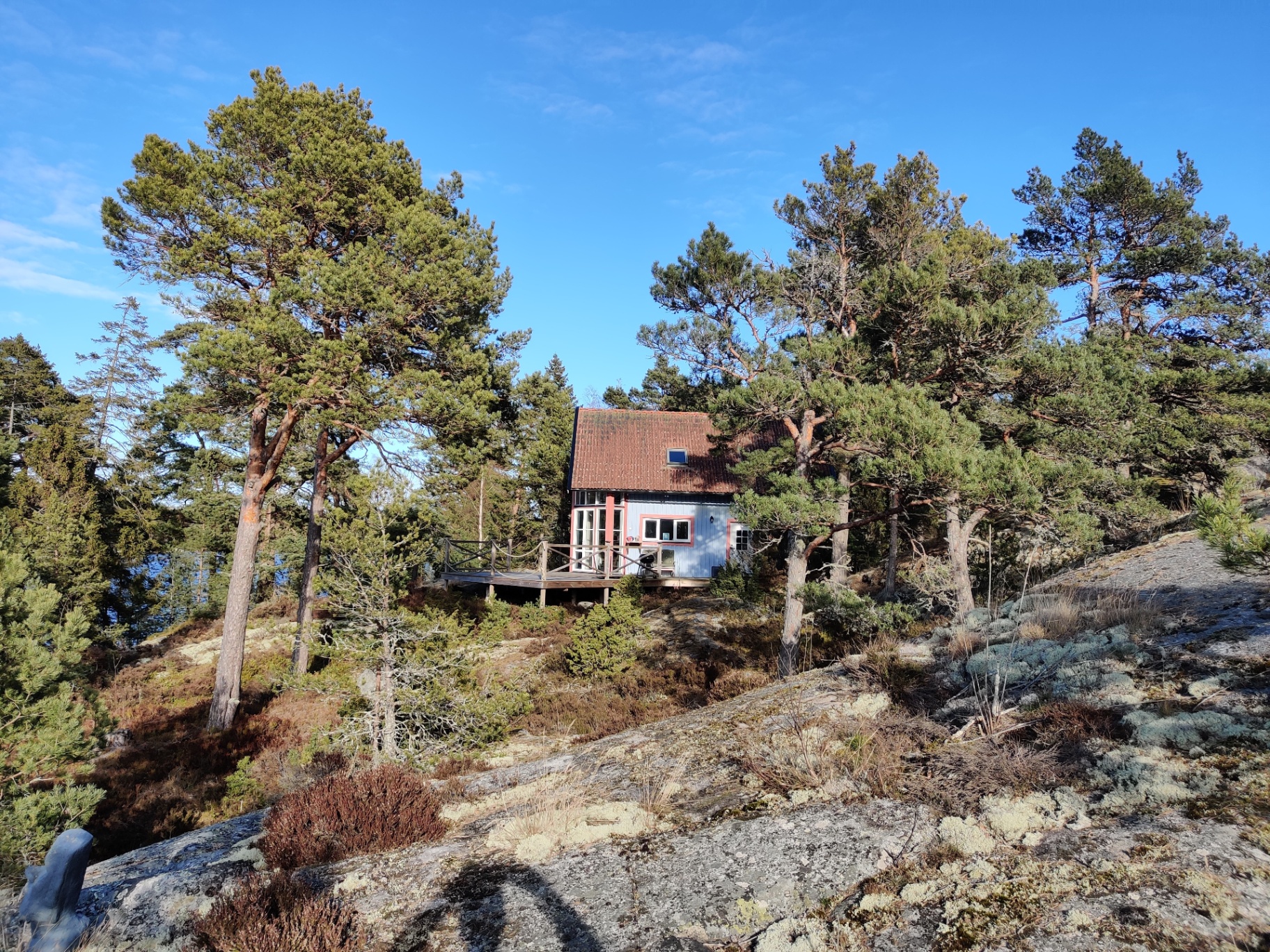 Sommarhus i falurött timmer med höga fönster, omgivet av tallar och skärgården bortom