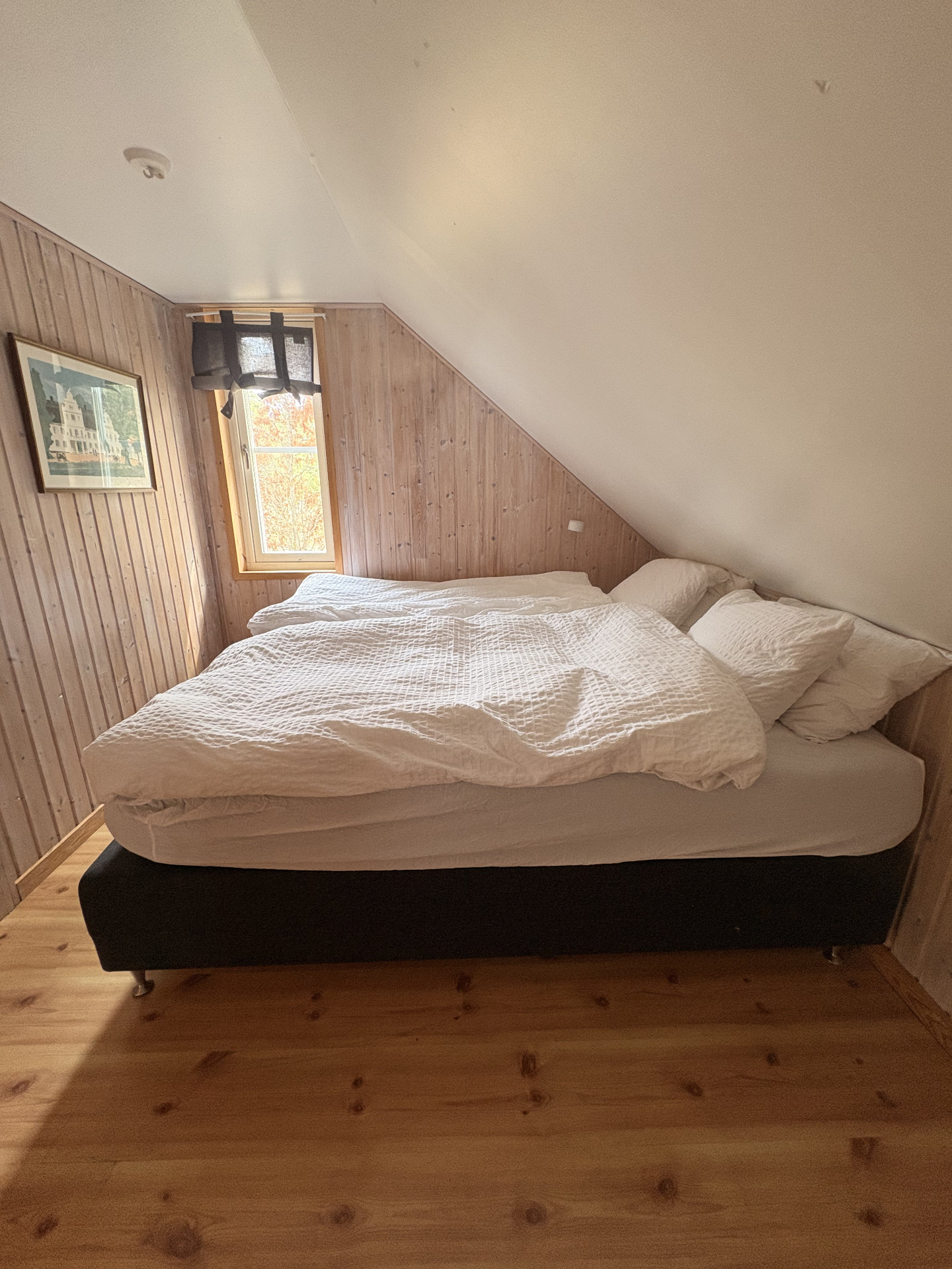 Sovloft under snedtak av furu med morgonljus genom fönstret